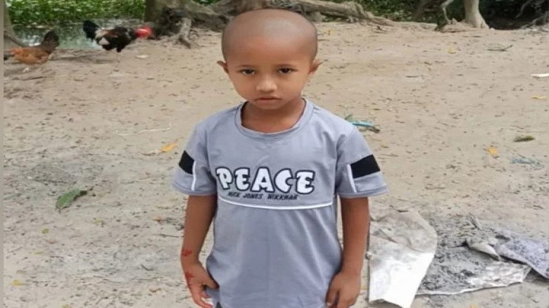 মুন্সীগঞ্জে ভিমরুলের কামড়ে চার বছরের শিশুর মৃত্যু