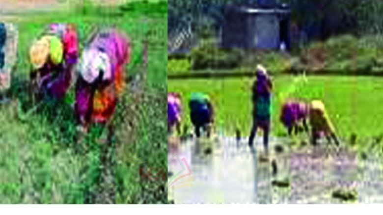 কুমিল্লায় নারী শক্তির নতুন উত্থান