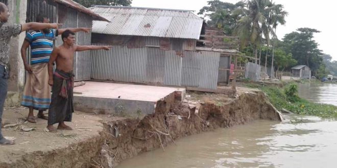 মধুমতি ভাঙছে এখনও, ঘরবাড়ি বিলীন