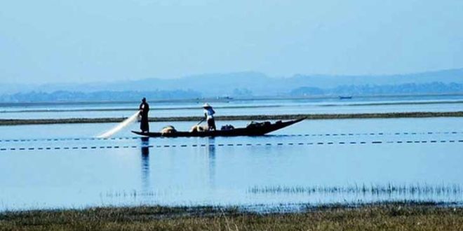 হাকালুকি হাওরের মাছ লুট